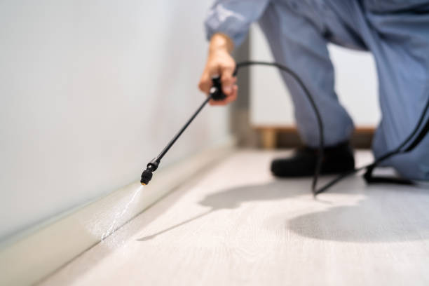 Licensed Pest Control service in Essex Junction, VT - Show Me Pest Control